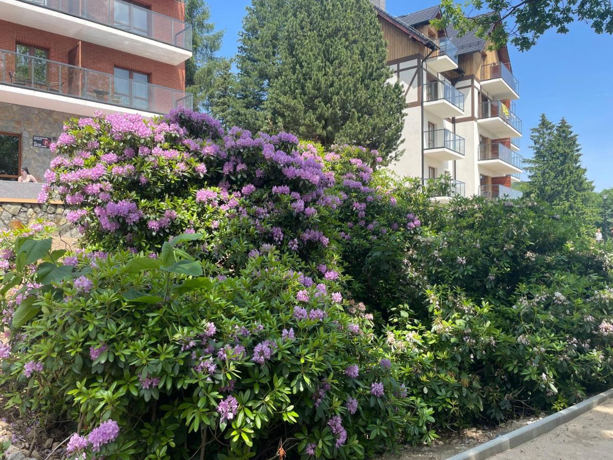 Apartament N&B シクラルスカ・ポレンバ エクステリア 写真